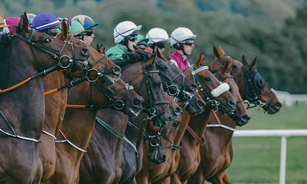 CHELTENHAM GOLD CUP CHARITY AFTERNOON